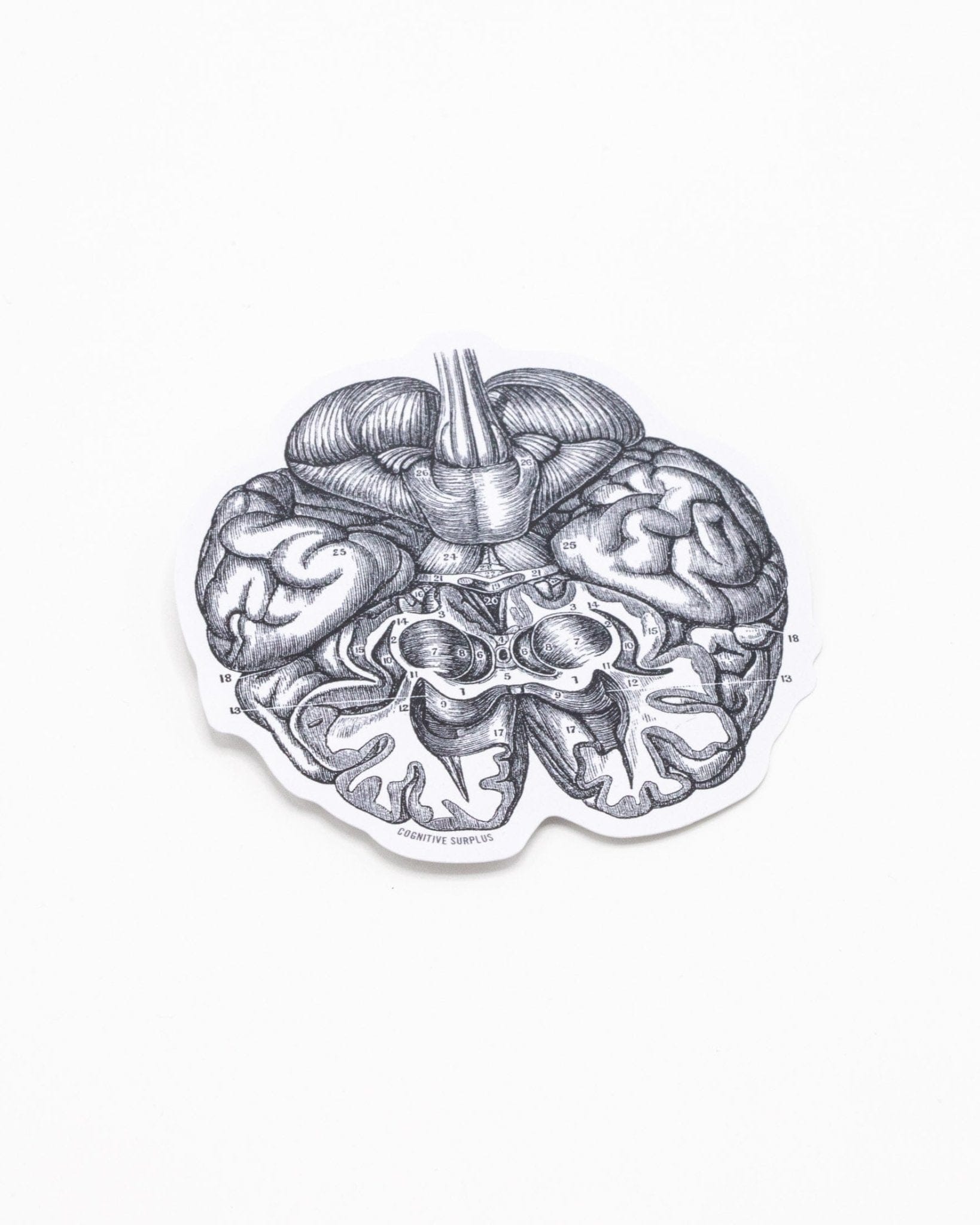 Brain Sticker – Cognitive Surplus