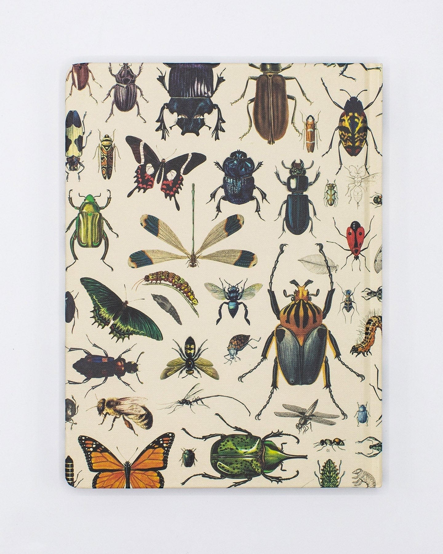 Butterflies & Beetles Hardcover - Blank Cognitive Surplus