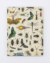 Butterflies & Beetles Hardcover - Blank Cognitive Surplus