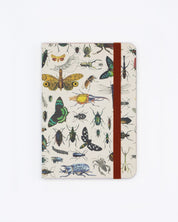 Butterflies & Beetles Observation Softcover Cognitive Surplus