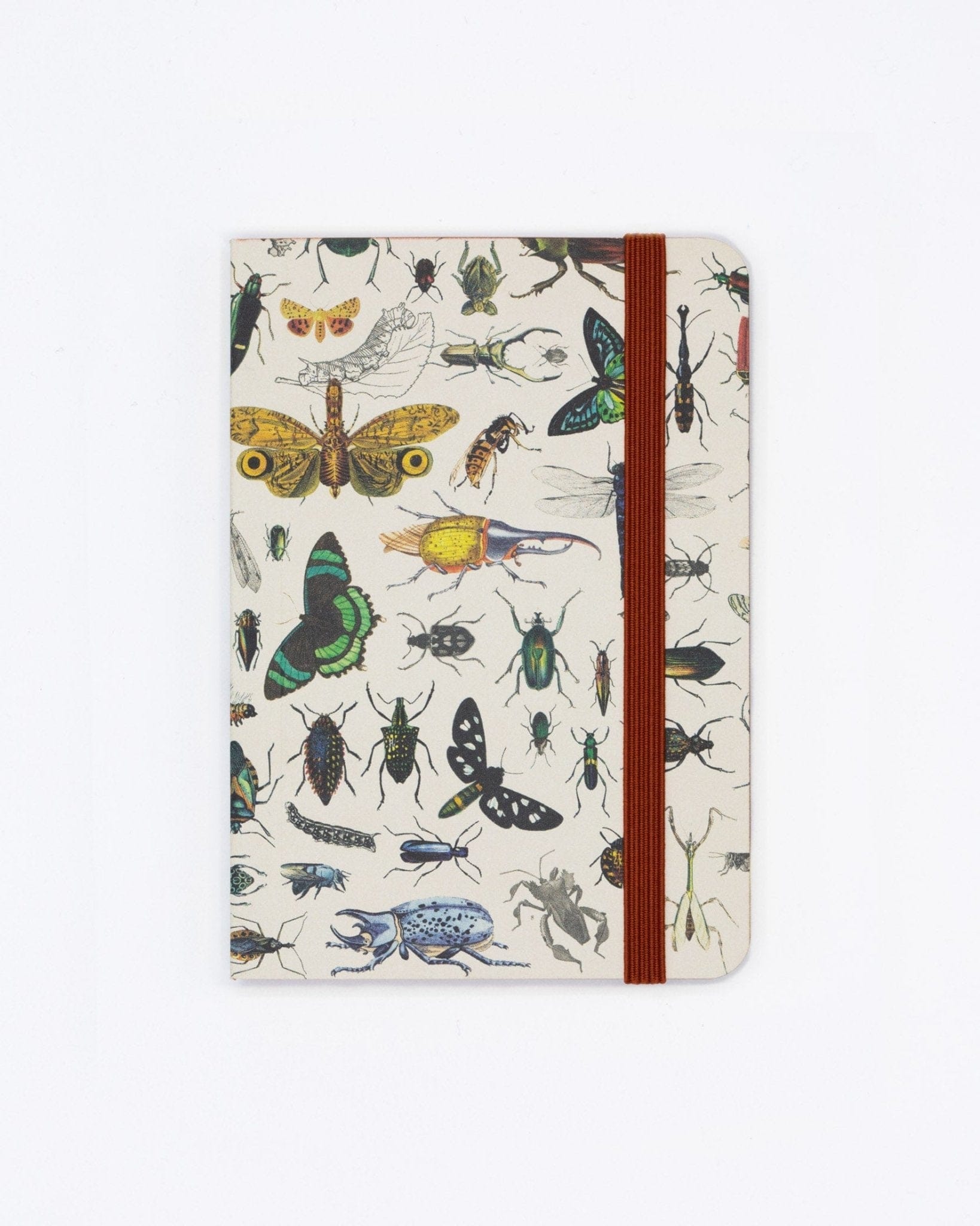 Butterflies & Beetles Observation Softcover Cognitive Surplus