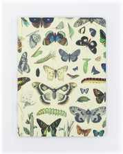 Butterflies Hardcover - Lined/Grid Cognitive Surplus