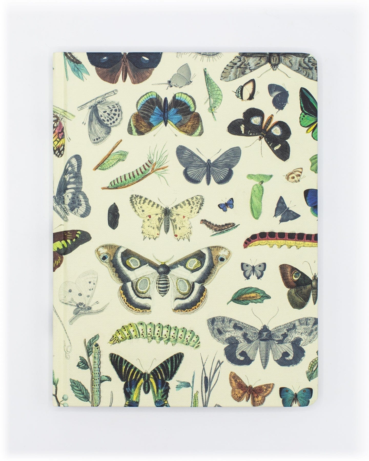 Butterflies Hardcover - Lined/Grid Cognitive Surplus