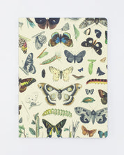 Butterflies Softcover - Dot Grid Cognitive Surplus