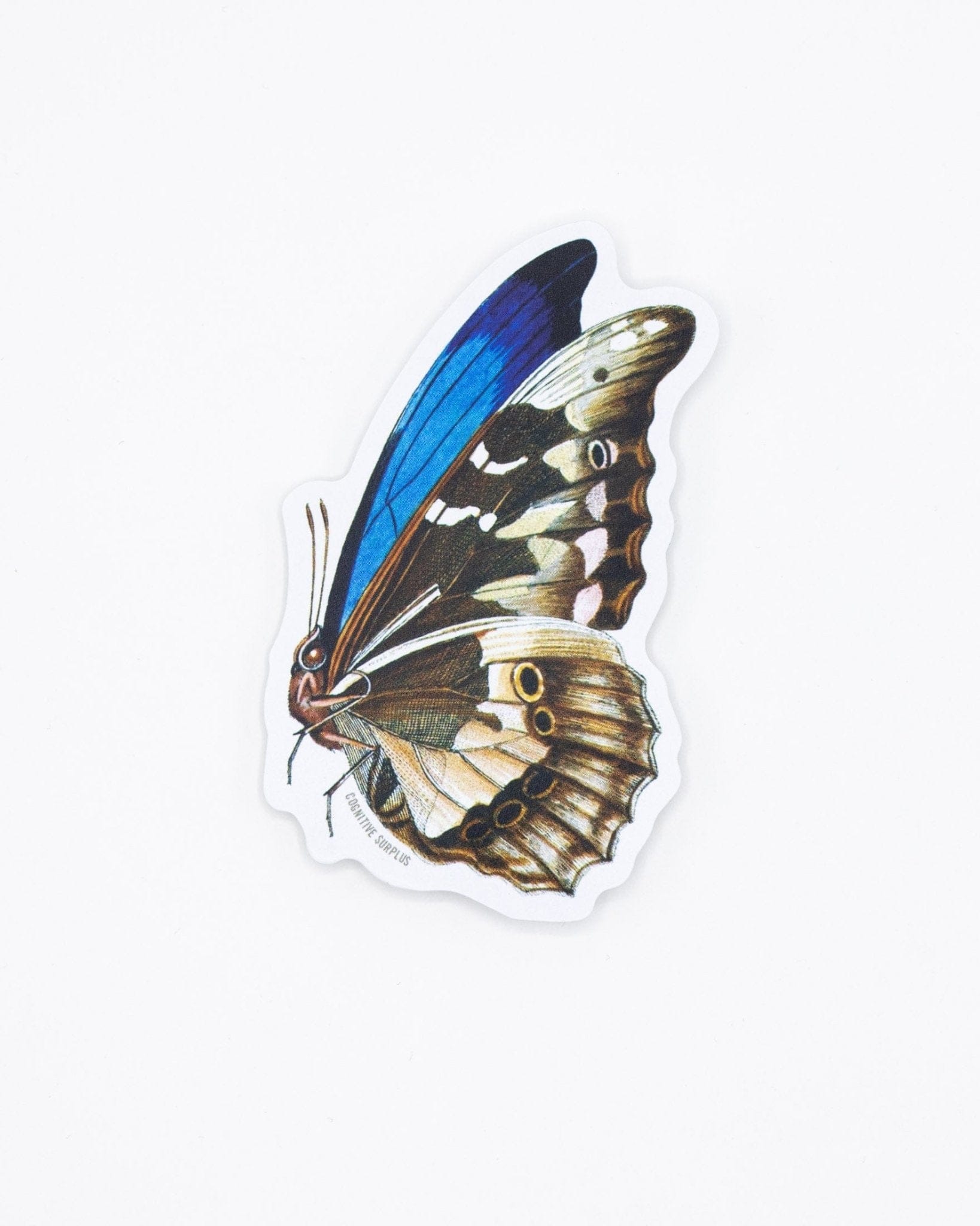 Butterfly Sticker Cognitive Surplus