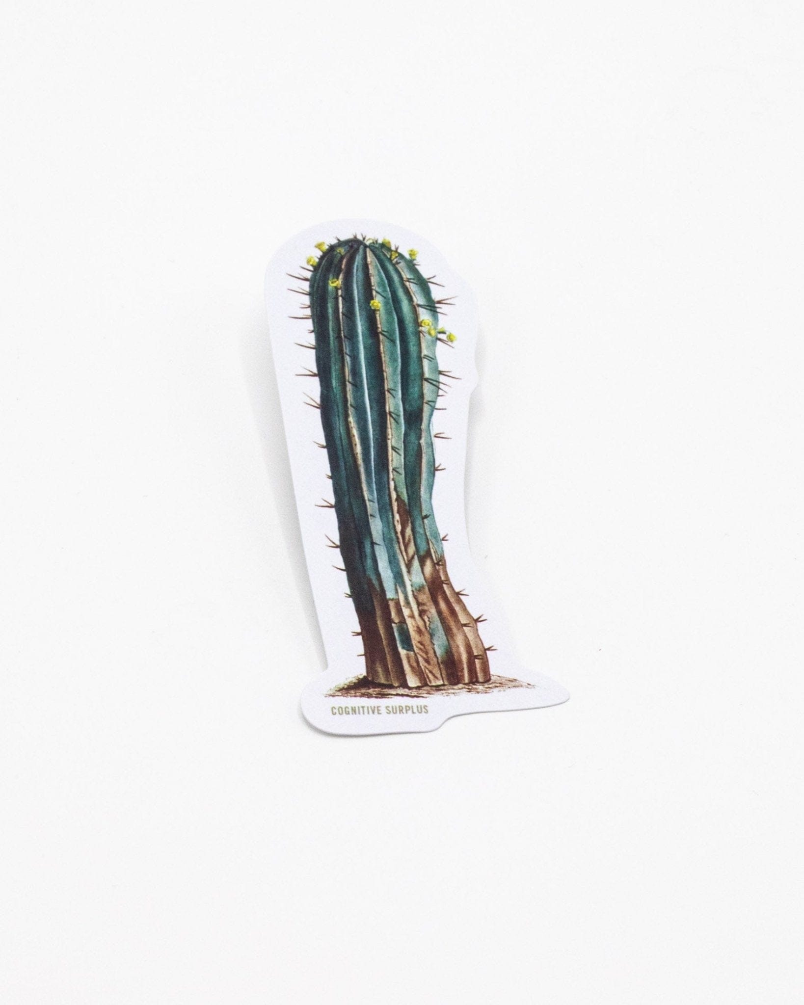 Cactus Sticker Cognitive Surplus