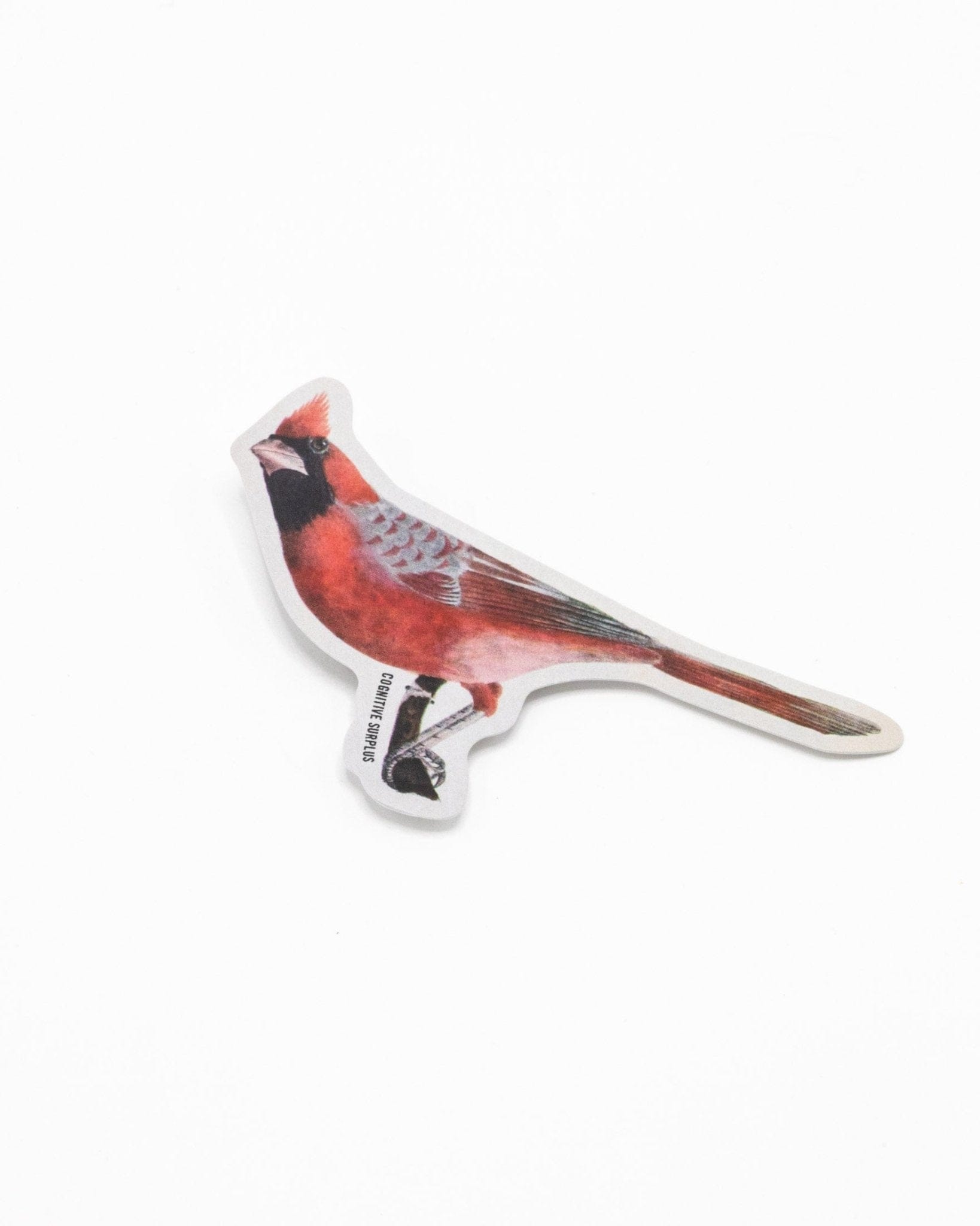 Cardinal Bird Sticker Cognitive Surplus