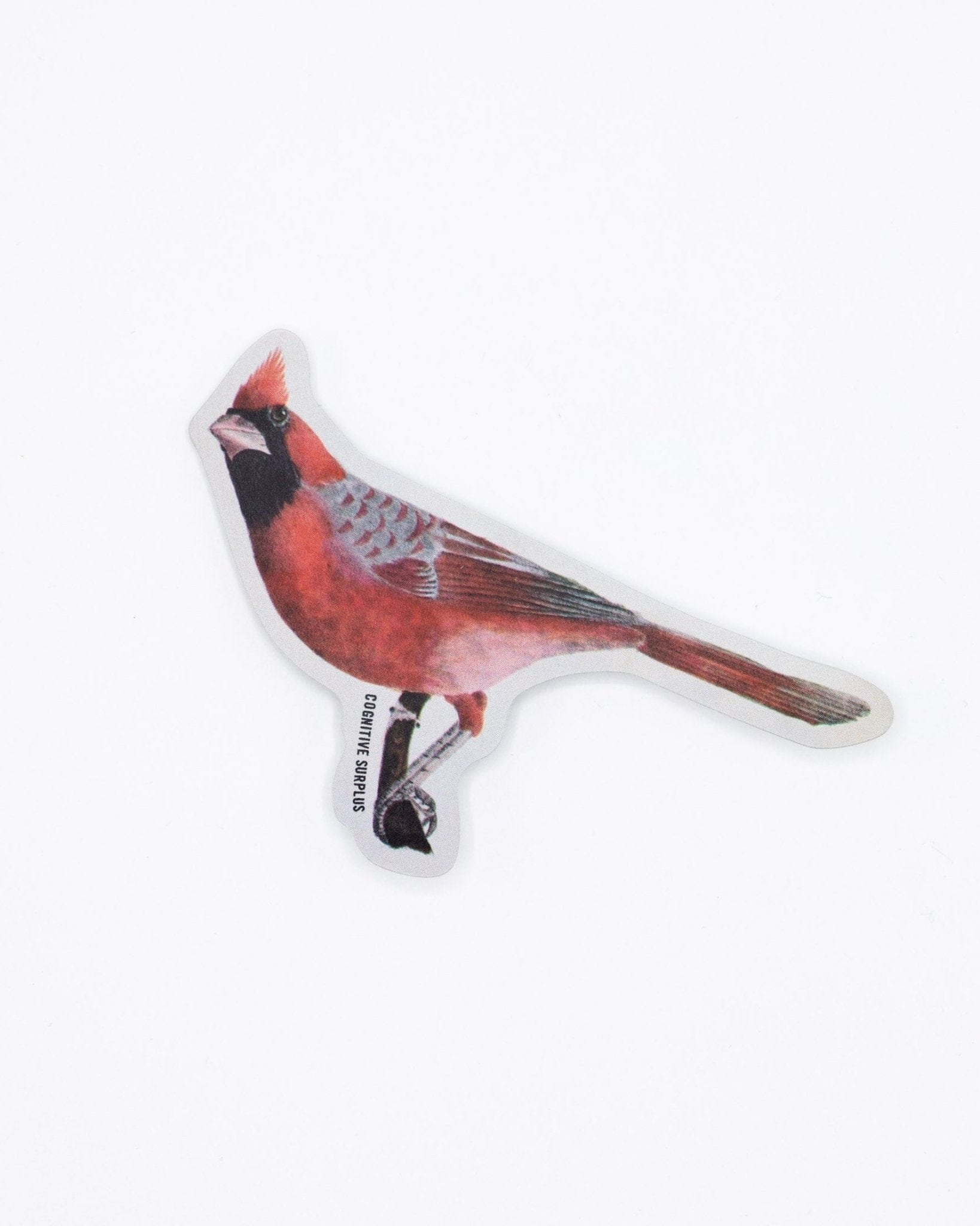Cardinal Bird Sticker Cognitive Surplus