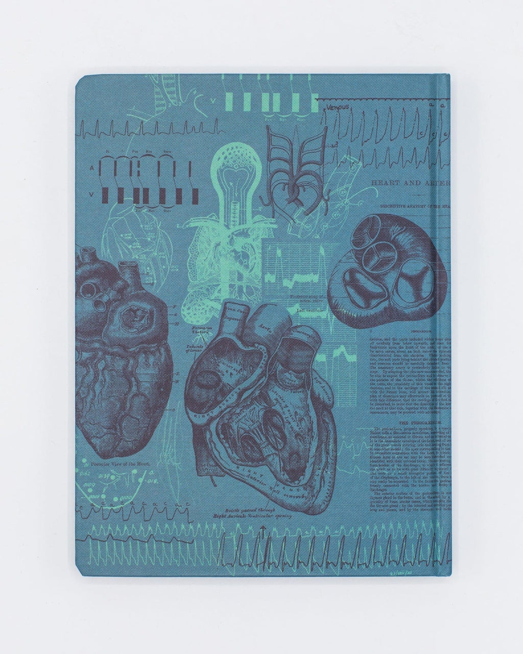 Cardiology Hardcover Notebook | Anatomical Heart Notebook – Cognitive ...