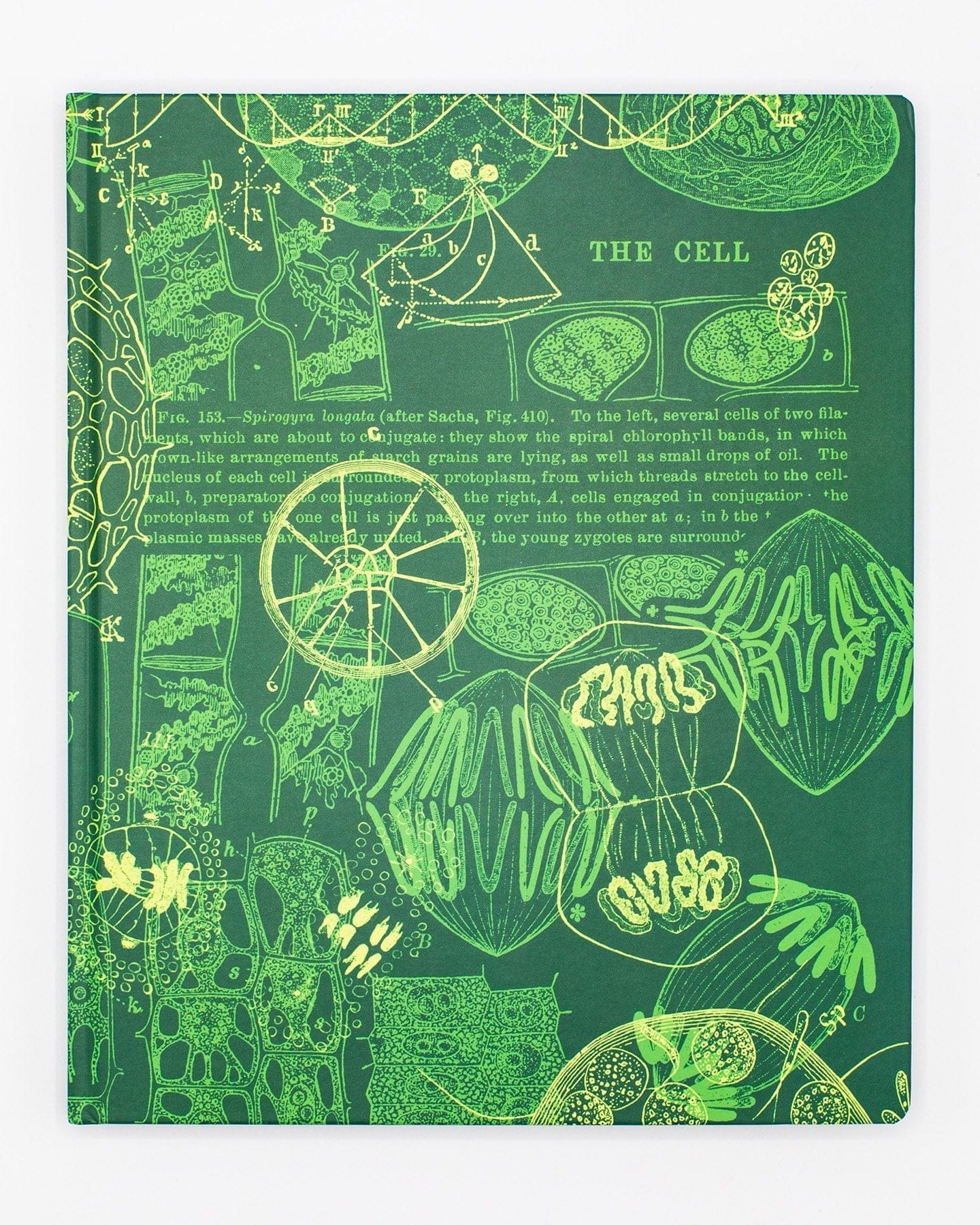 Cell Count Lab Notebook Cell Biology Lab Notebook – Cognitive Surplus