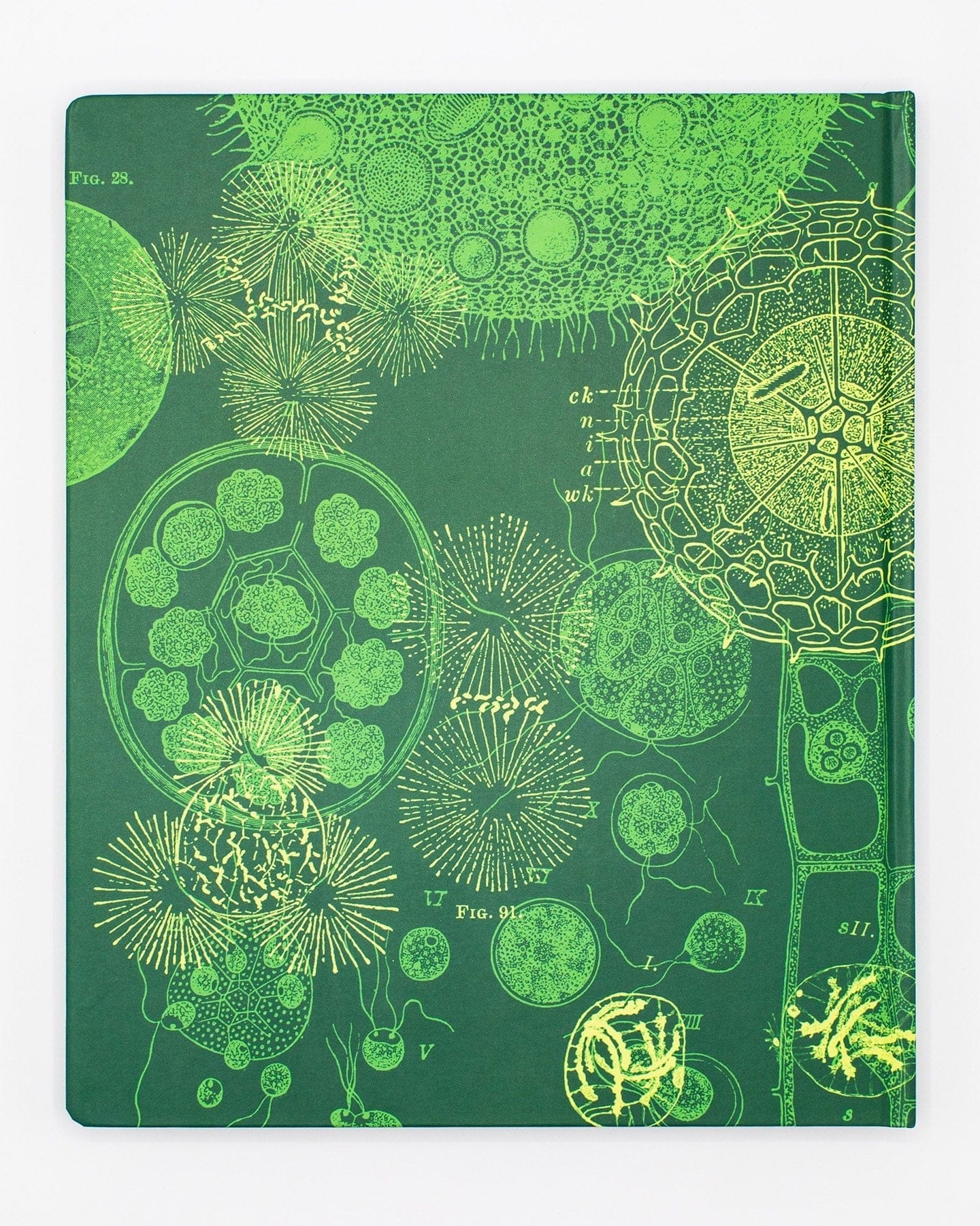 Cell Count Lab Notebook Cell Biology Lab Notebook – Cognitive Surplus