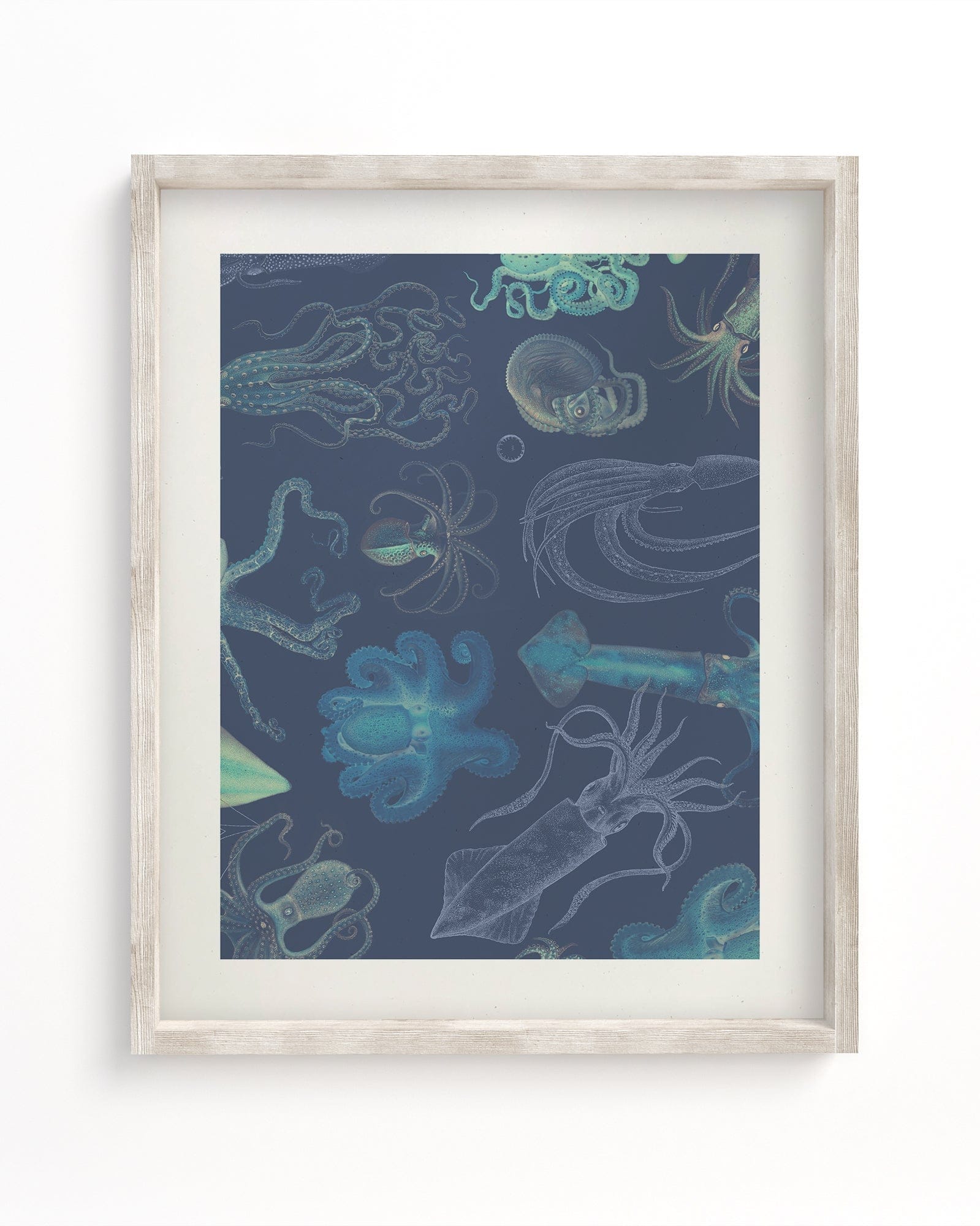 Cephalopods Museum Print Cognitive Surplus