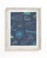 Cephalopods Museum Print Cognitive Surplus