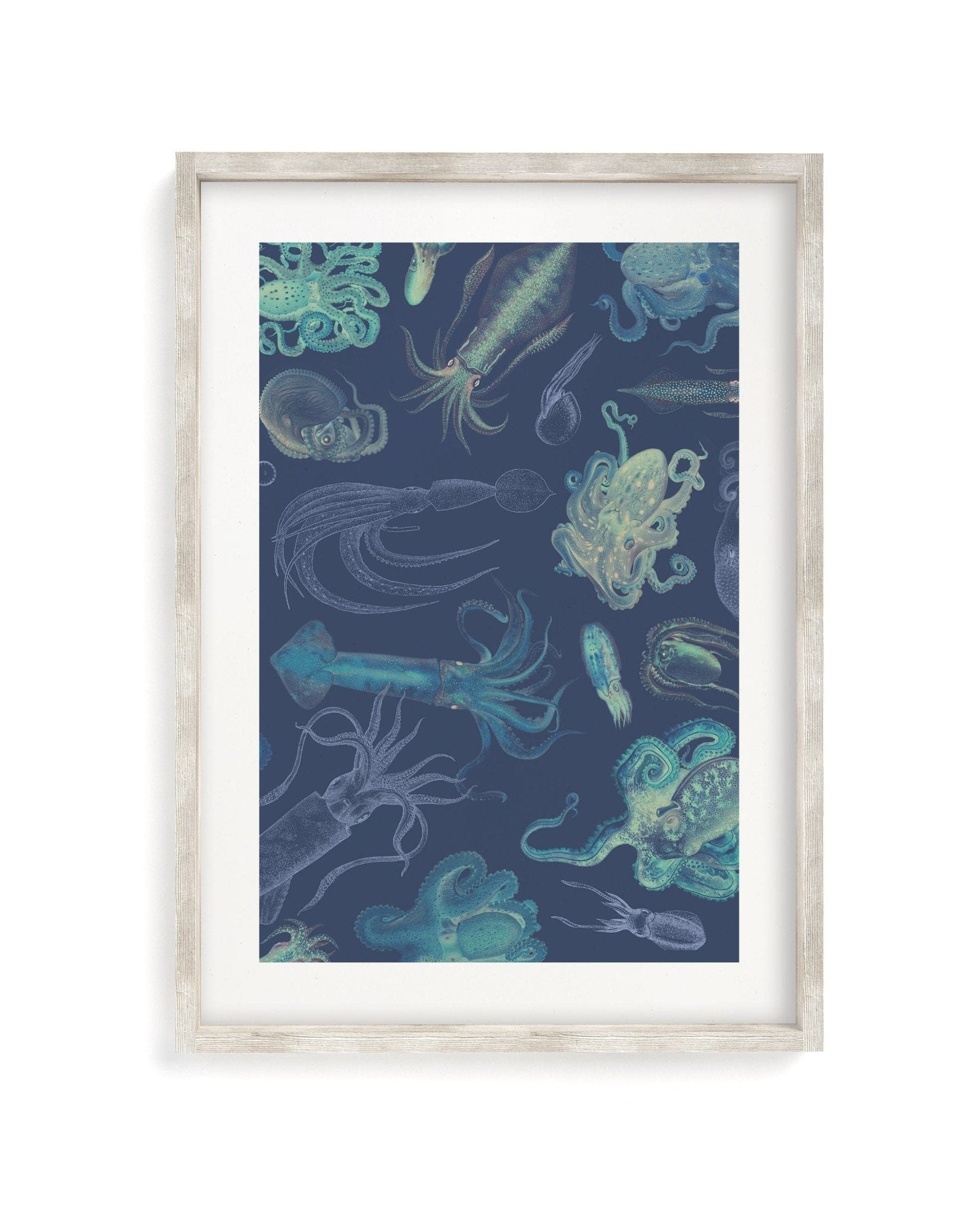 Cephalopods Museum Print Cognitive Surplus