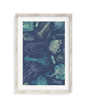 Cephalopods Museum Print Cognitive Surplus