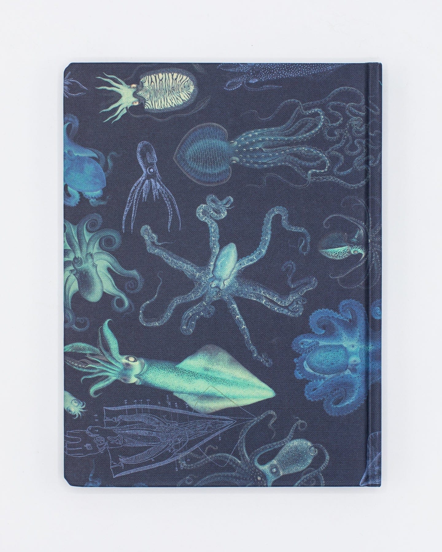 Octopus Print Notebook - Hardcover | Marine Biology – Cognitive Surplus