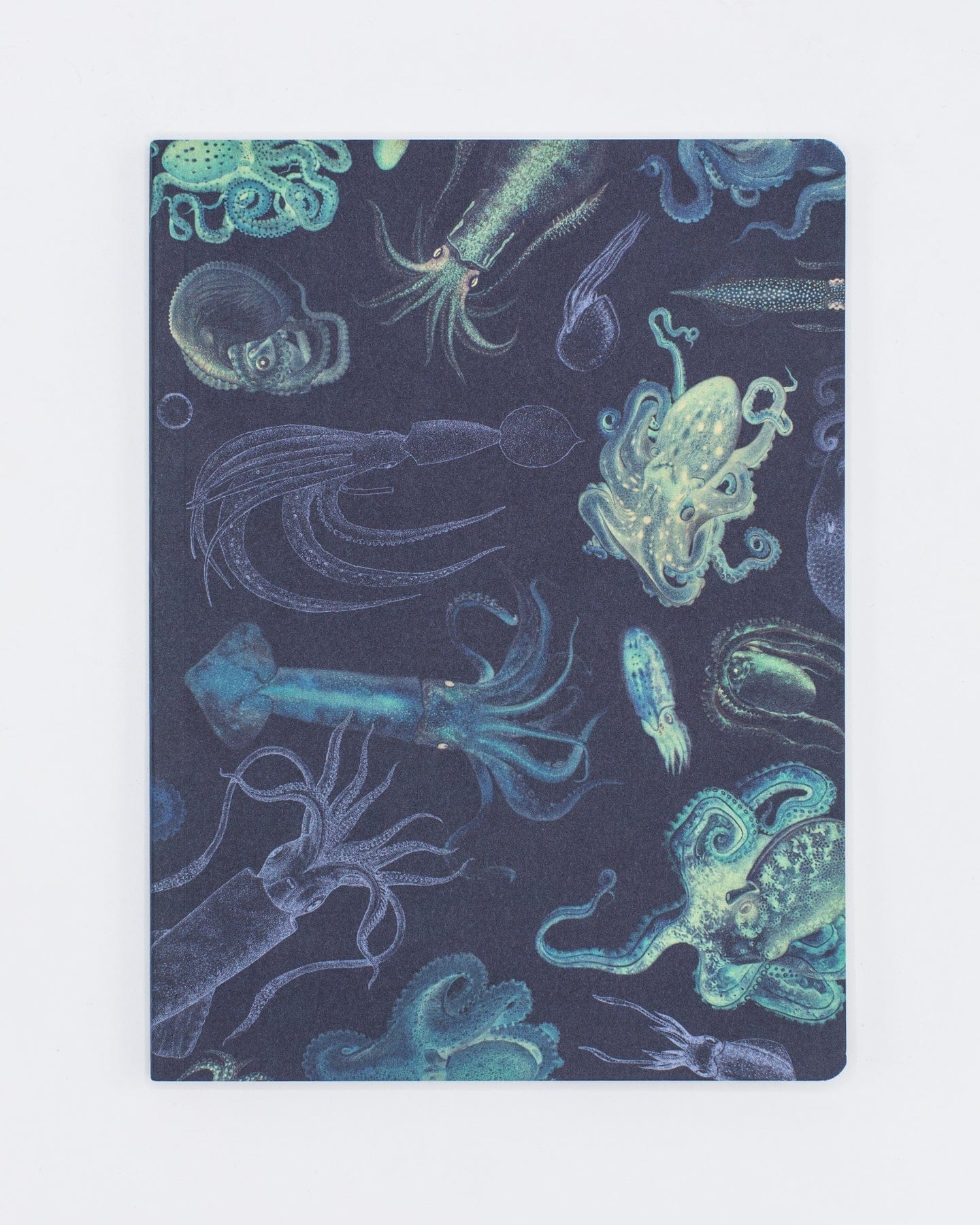 Cephalopods: Octopus & Squid Softcover - Lined Cognitive Surplus