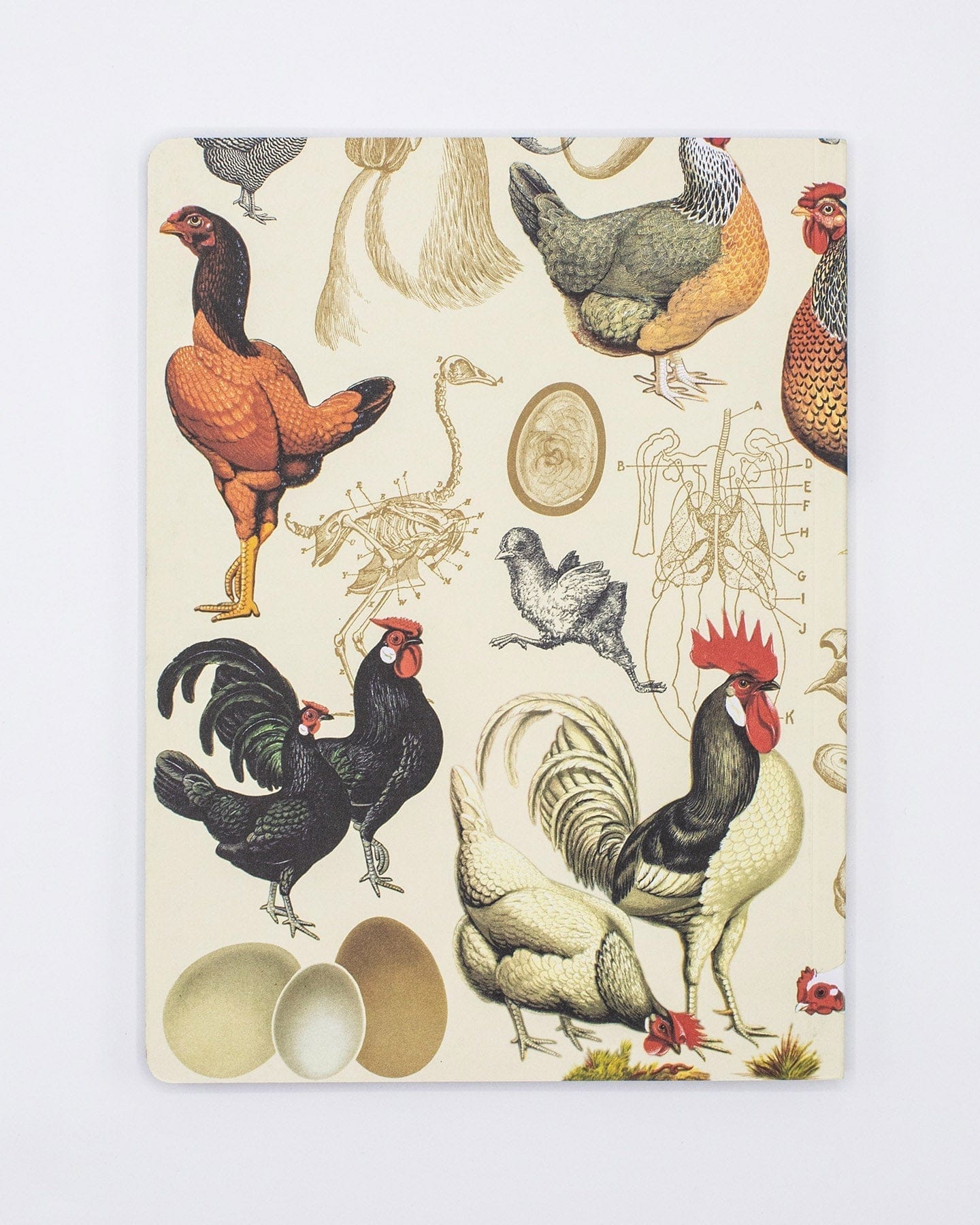 Notebook Chicken Chickens Softcover Notebook | Cognitive Surplus