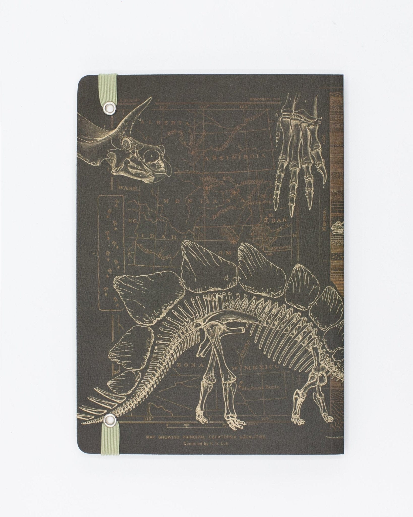 Dinosaur Bones A5 Softcover Cognitive Surplus