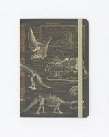 Dinosaur Bones A5 Softcover Notebook