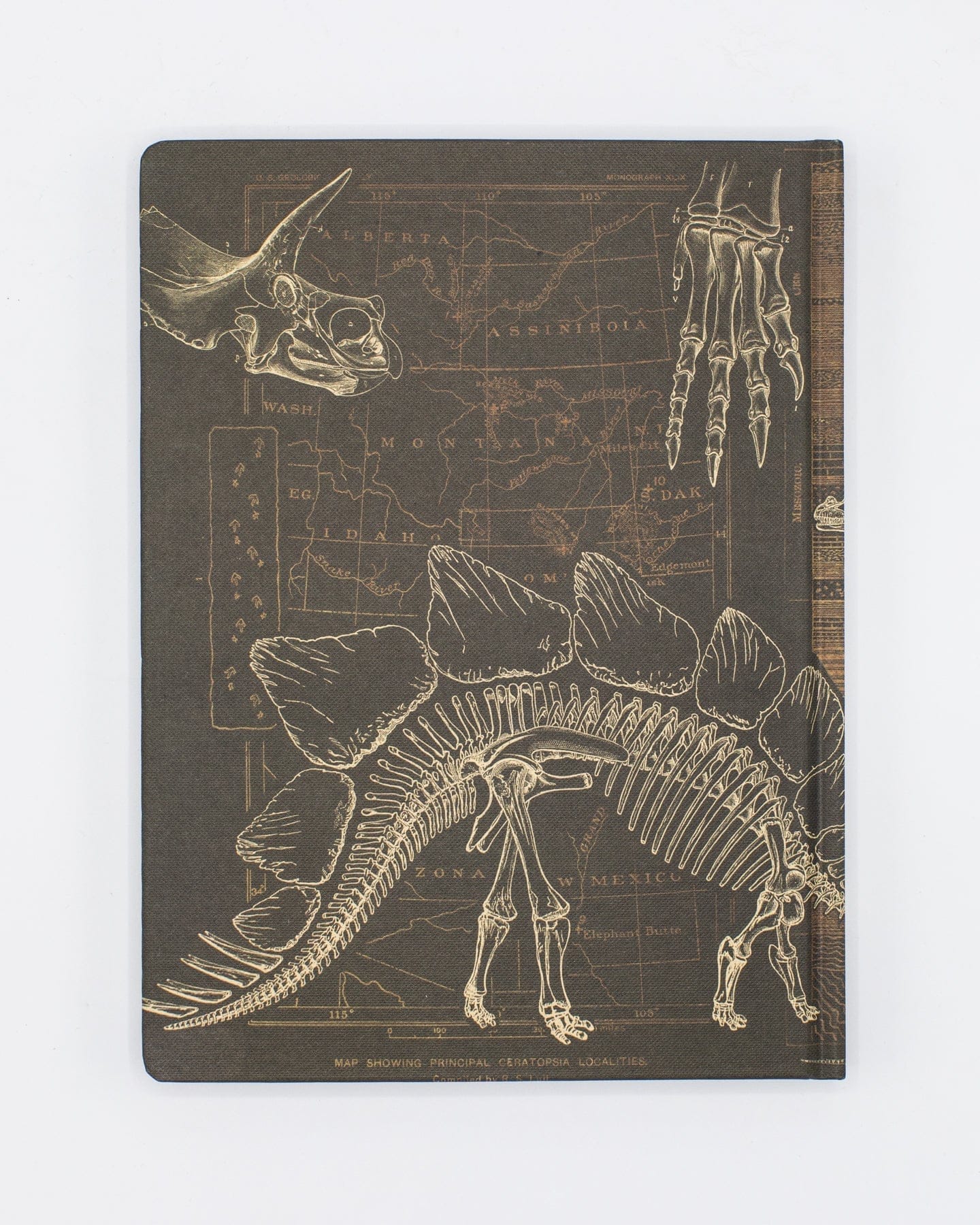 Dinosaur Bones: Paleontology Hardcover - Dot Grid Cognitive Surplus