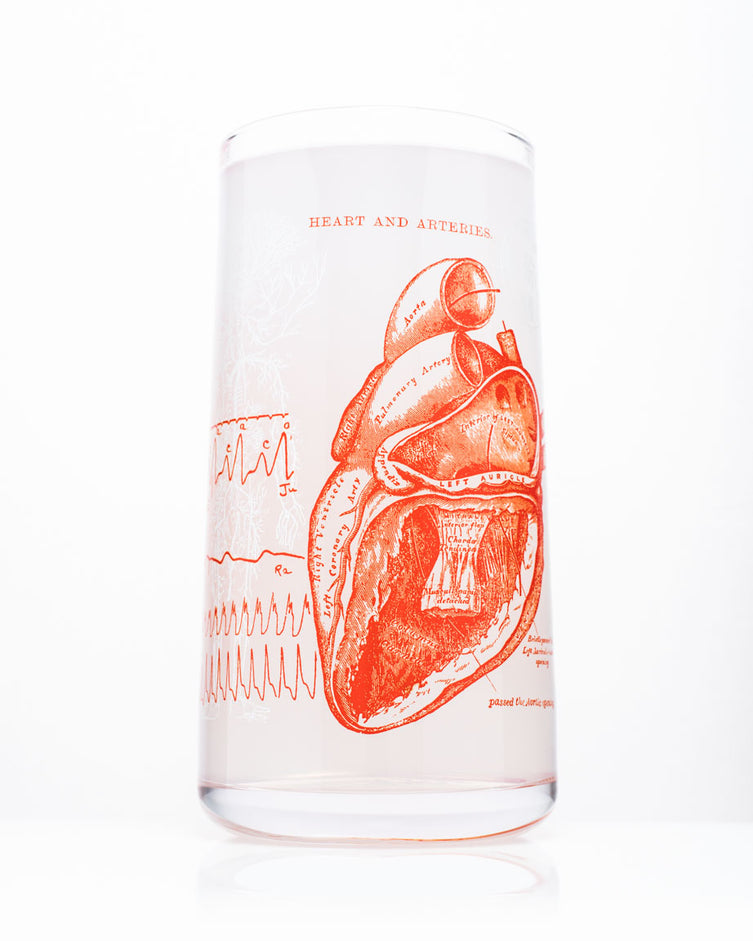 Anatomical Heart Drinking Glass – Tumbler Glass | Cognitive Surplus