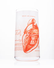 A Cognitive Surplus Vintage Science Drinking Glassware Set of 7 with an illustration of a heart on it.