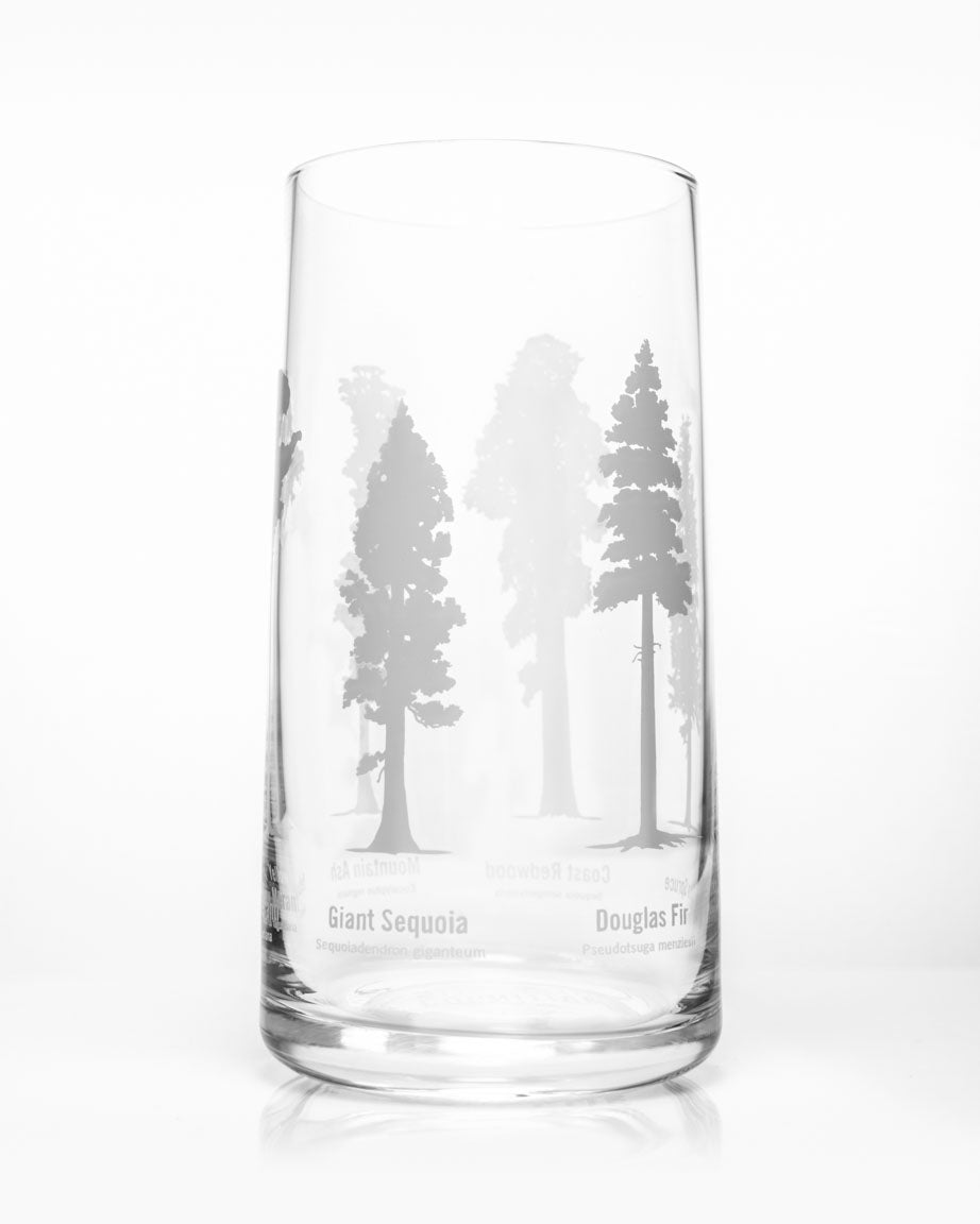 Forest Giants Drinking Glass