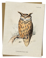 Eagle-Owl Bird Specimen Card Cognitive Surplus
