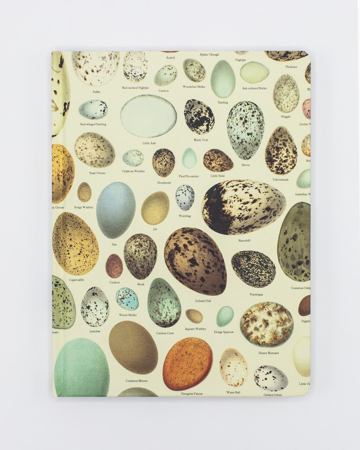 Eggs Hardcover - Dot Grid Cognitive Surplus