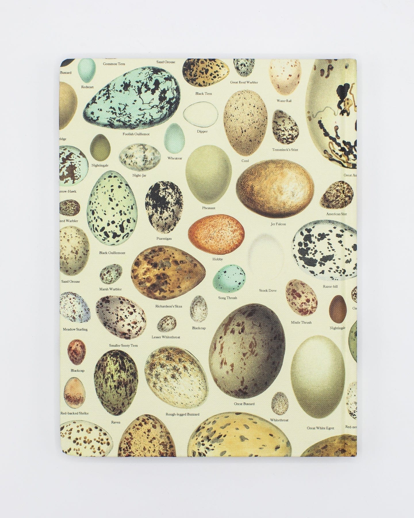Eggs Hardcover - Dot Grid Cognitive Surplus