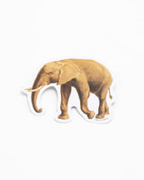 Elephant Sticker