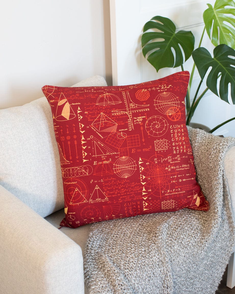 Equations That Changed the World Pillow Cover Cognitive Surplus