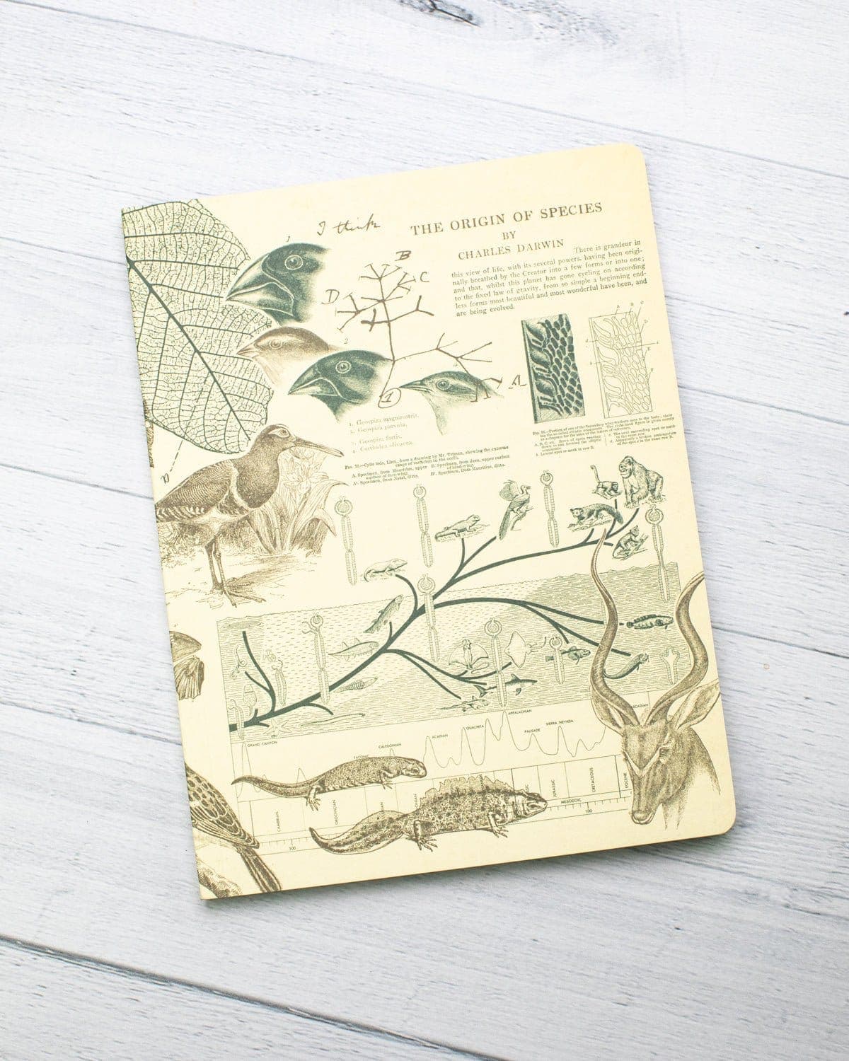 Evolution Softcover Notebook | Charles Darwin – Cognitive Surplus