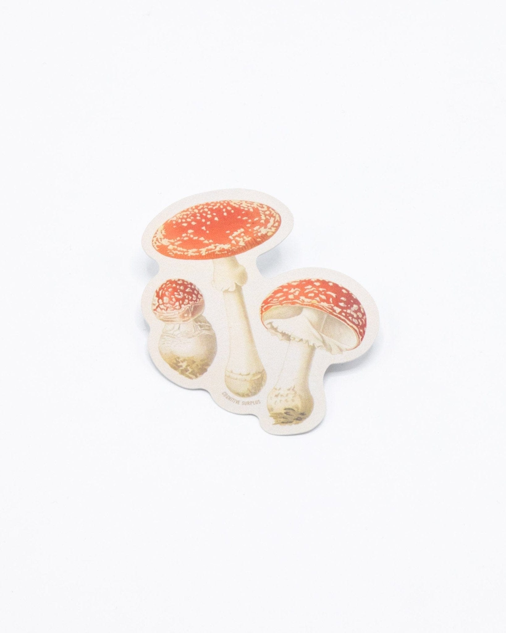 Fly Agaric Poisonous Mushrooms Sticker Cognitive Surplus