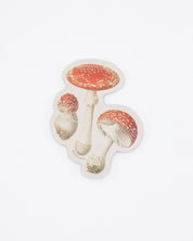 Fly Agaric Poisonous Mushrooms Sticker Cognitive Surplus