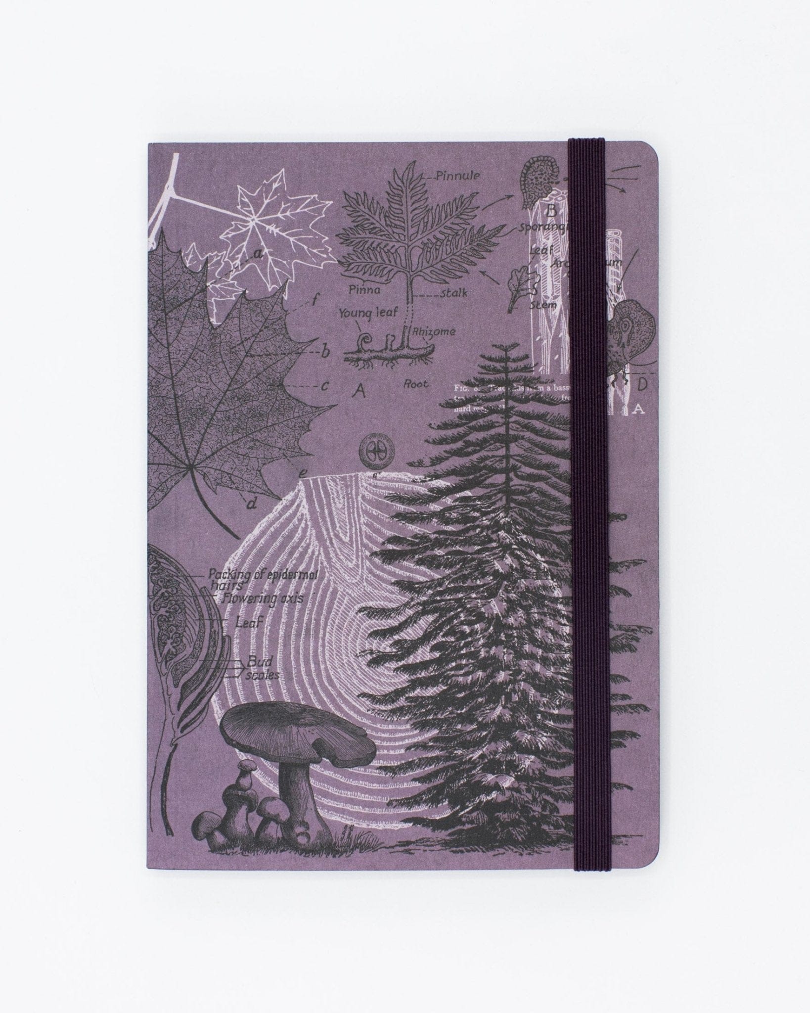 Forest at Dusk A5 Softcover Cognitive Surplus