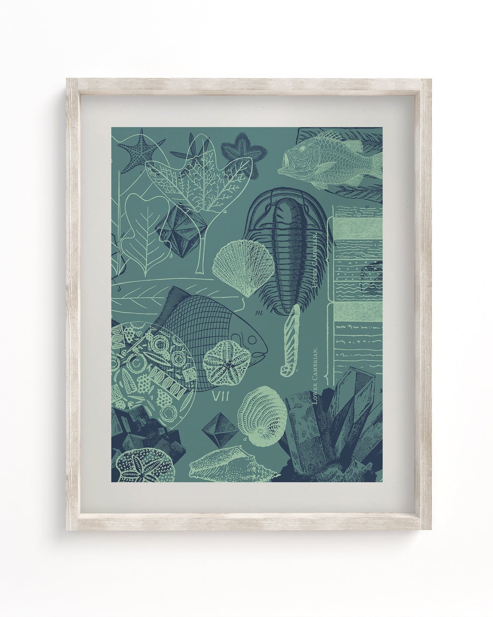 Fossils Museum Print Cognitive Surplus