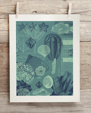 Fossils Museum Print Cognitive Surplus