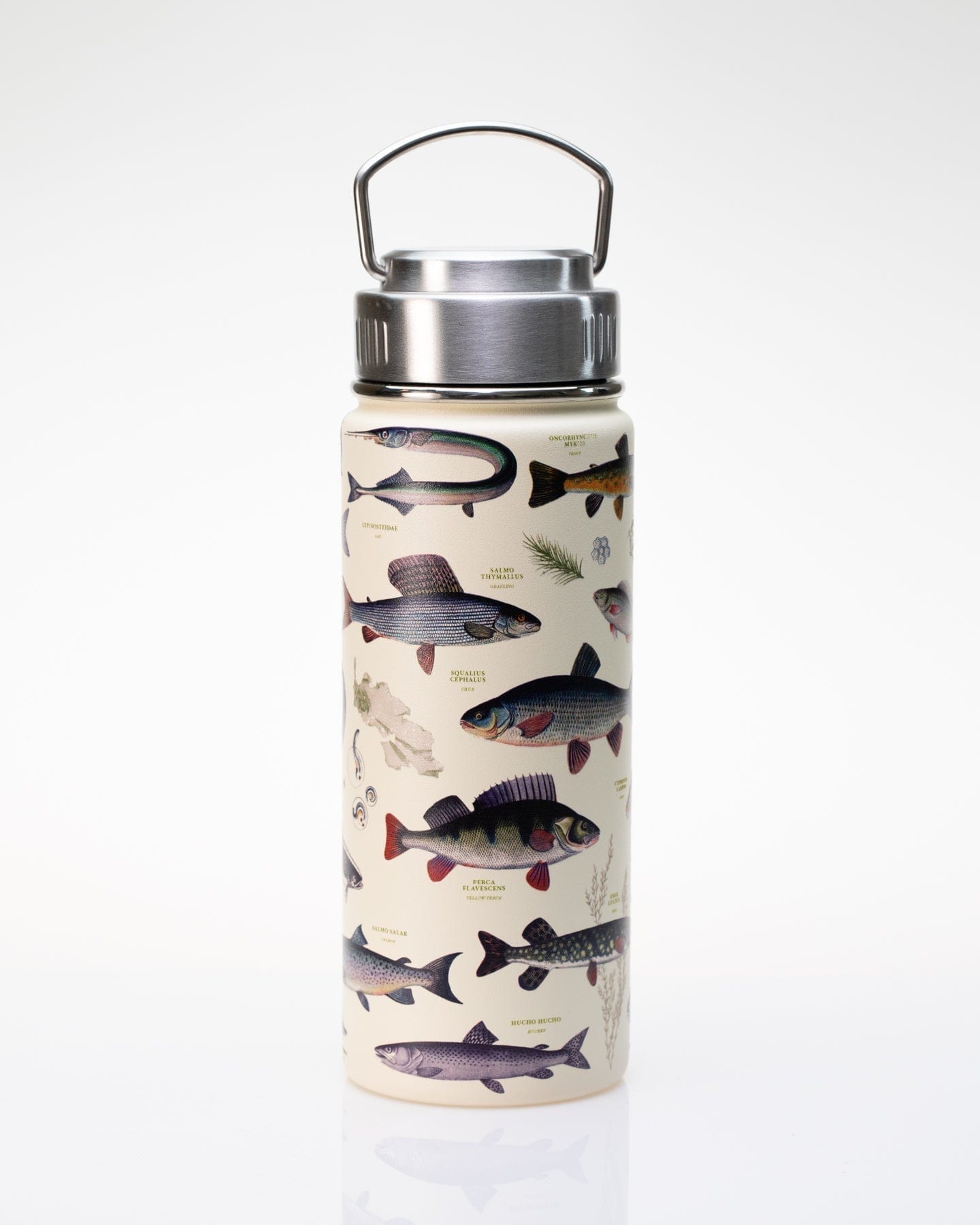 Freshwater Fish 18 oz Steel Bottle Cognitive Surplus