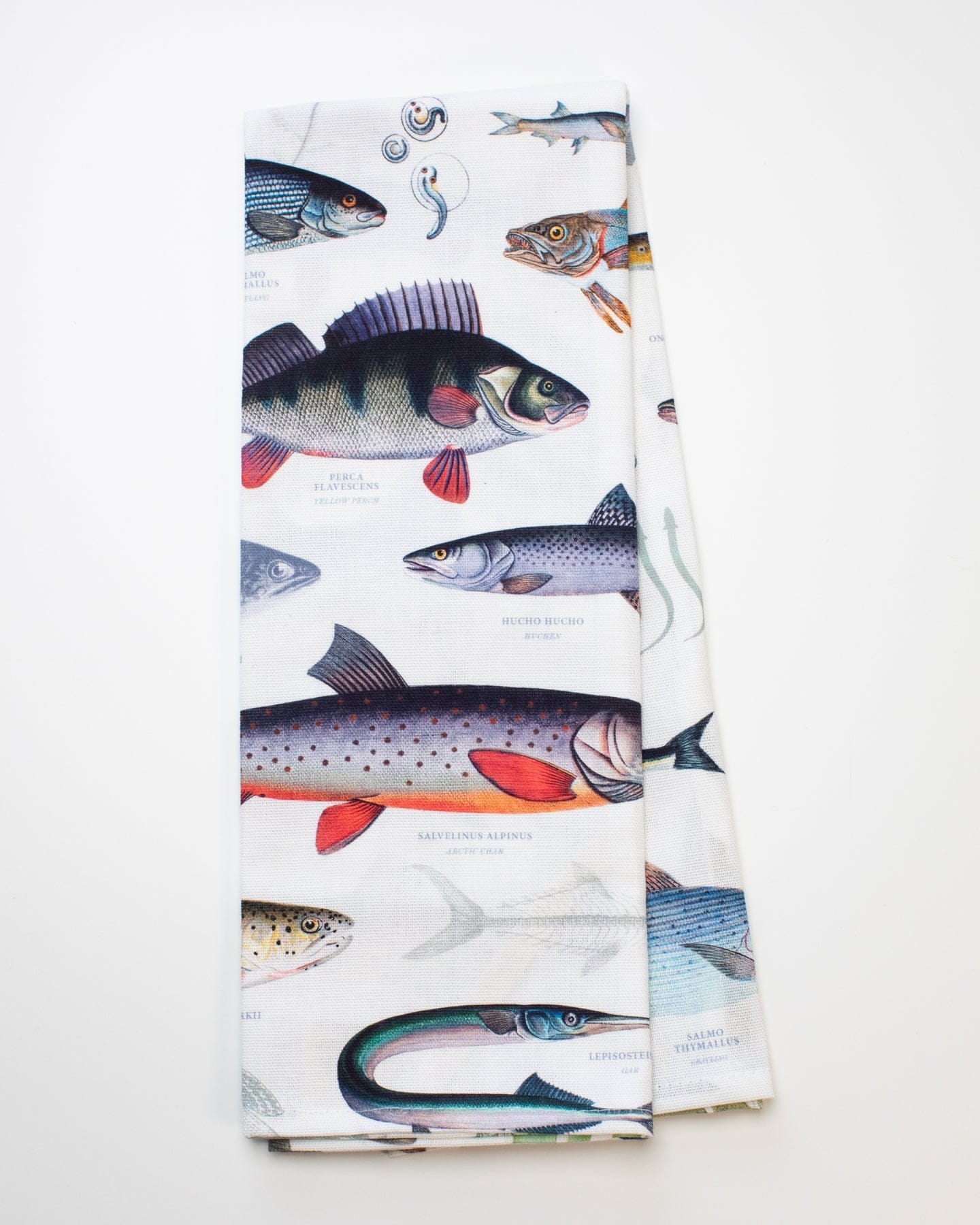 Freshwater Fish Printed Tea Towel | Cognitive Surplus