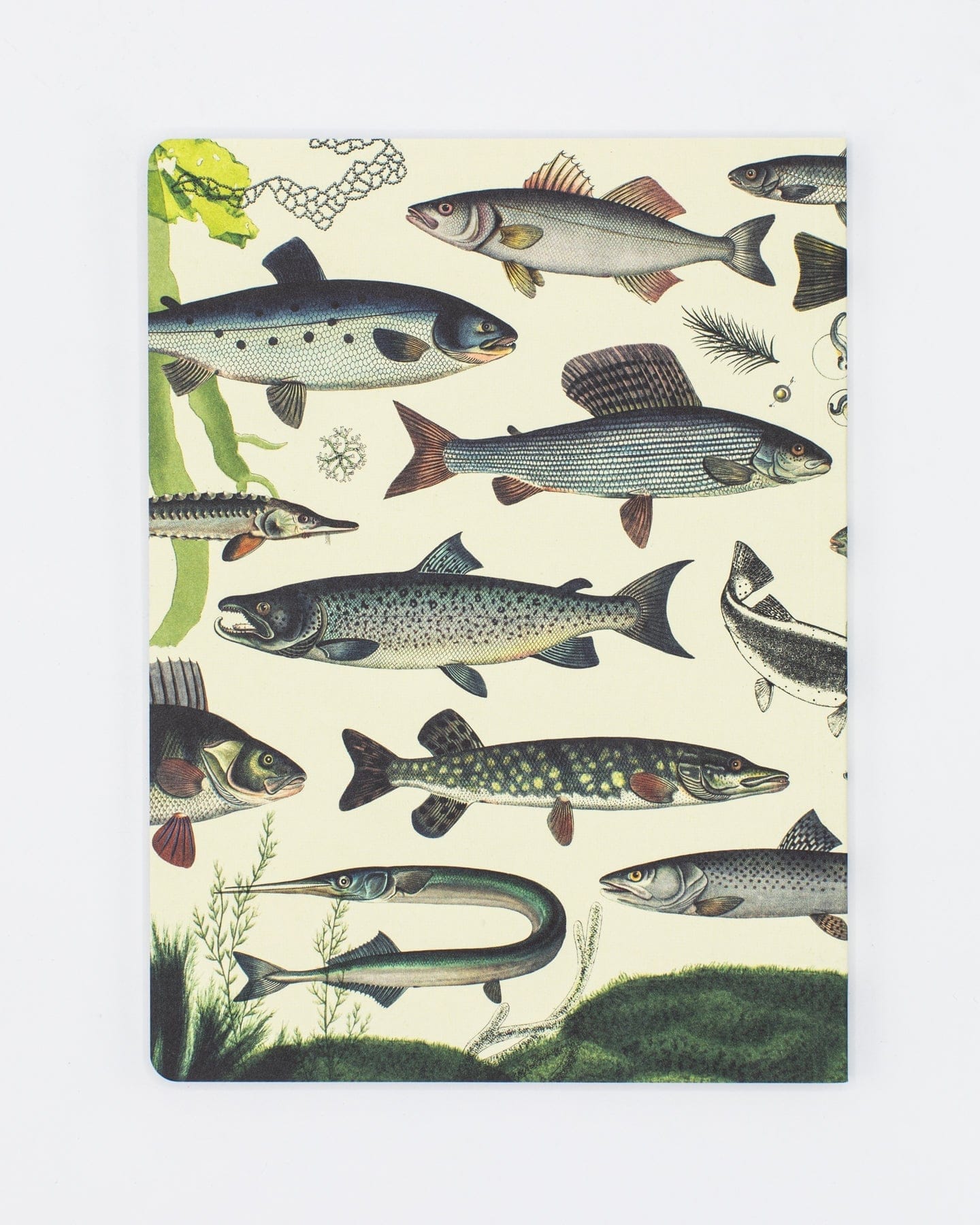 Freshwater Fish Softcover - Dot Grid Cognitive Surplus