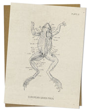 Frog Dissection Card Cognitive Surplus