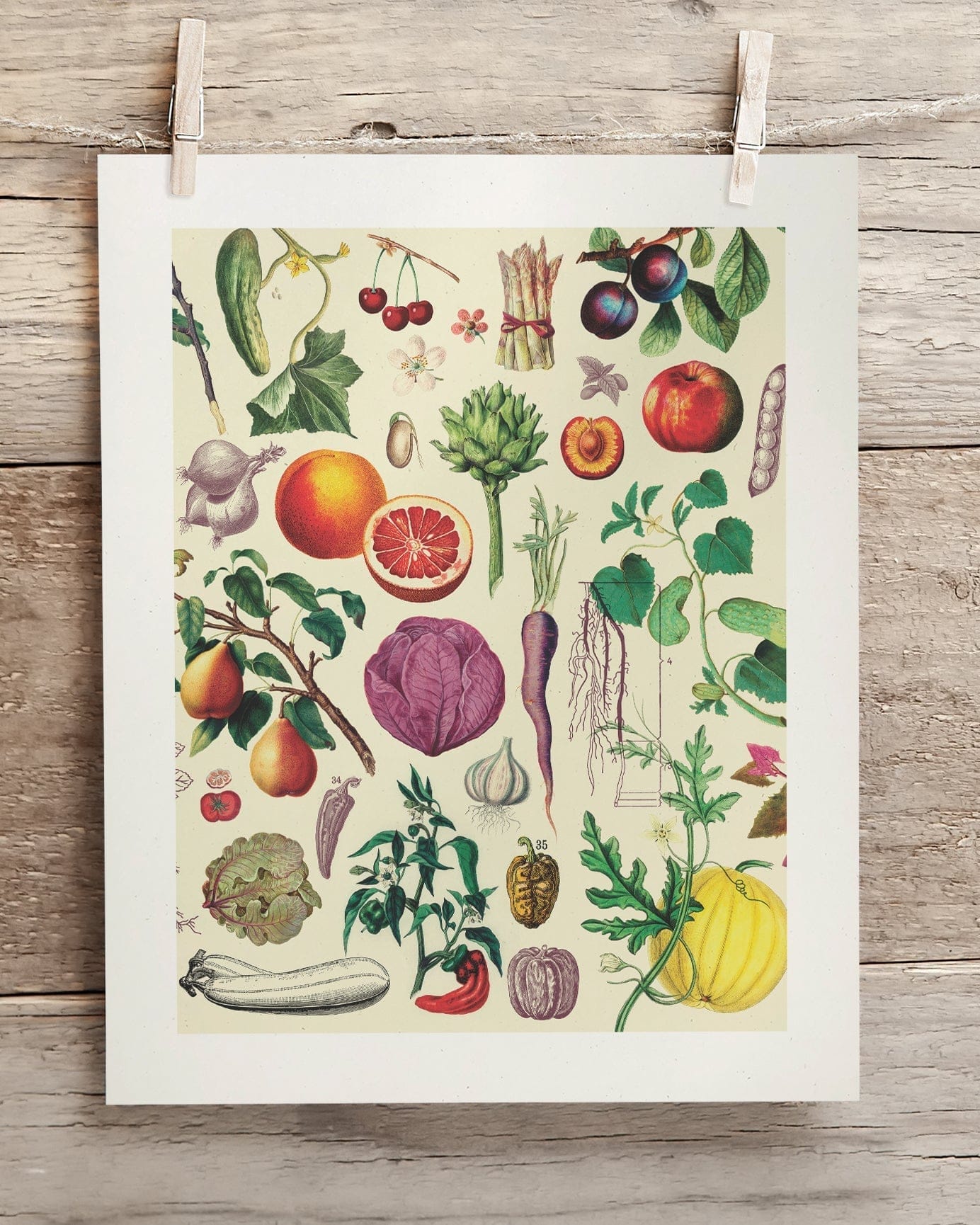 Fruit & Vegetables Museum Print Cognitive Surplus