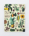 Fruits & Vegetables Hardcover - Lined/Grid Cognitive Surplus