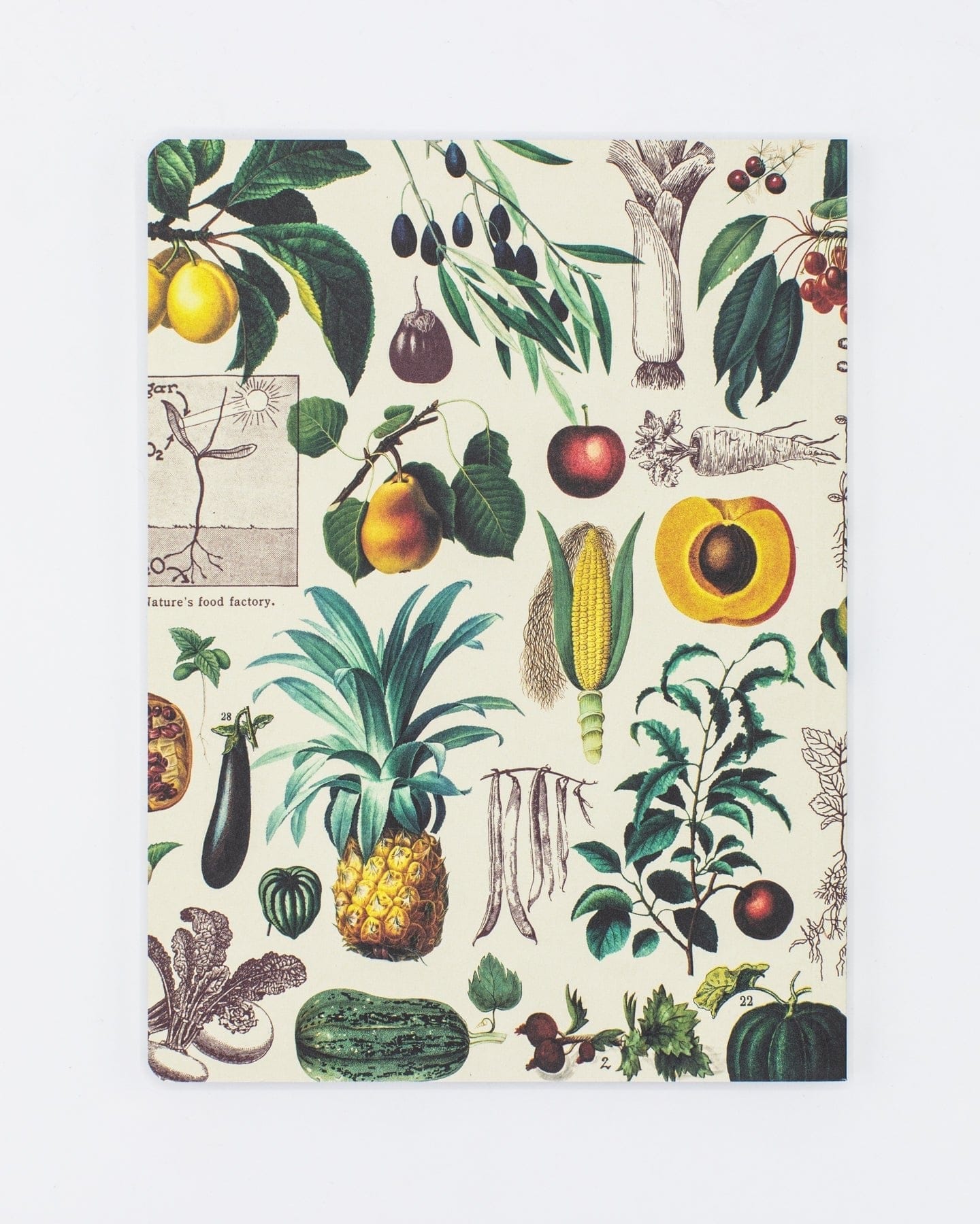 Fruits & Vegetables Softcover - Dot Grid Cognitive Surplus