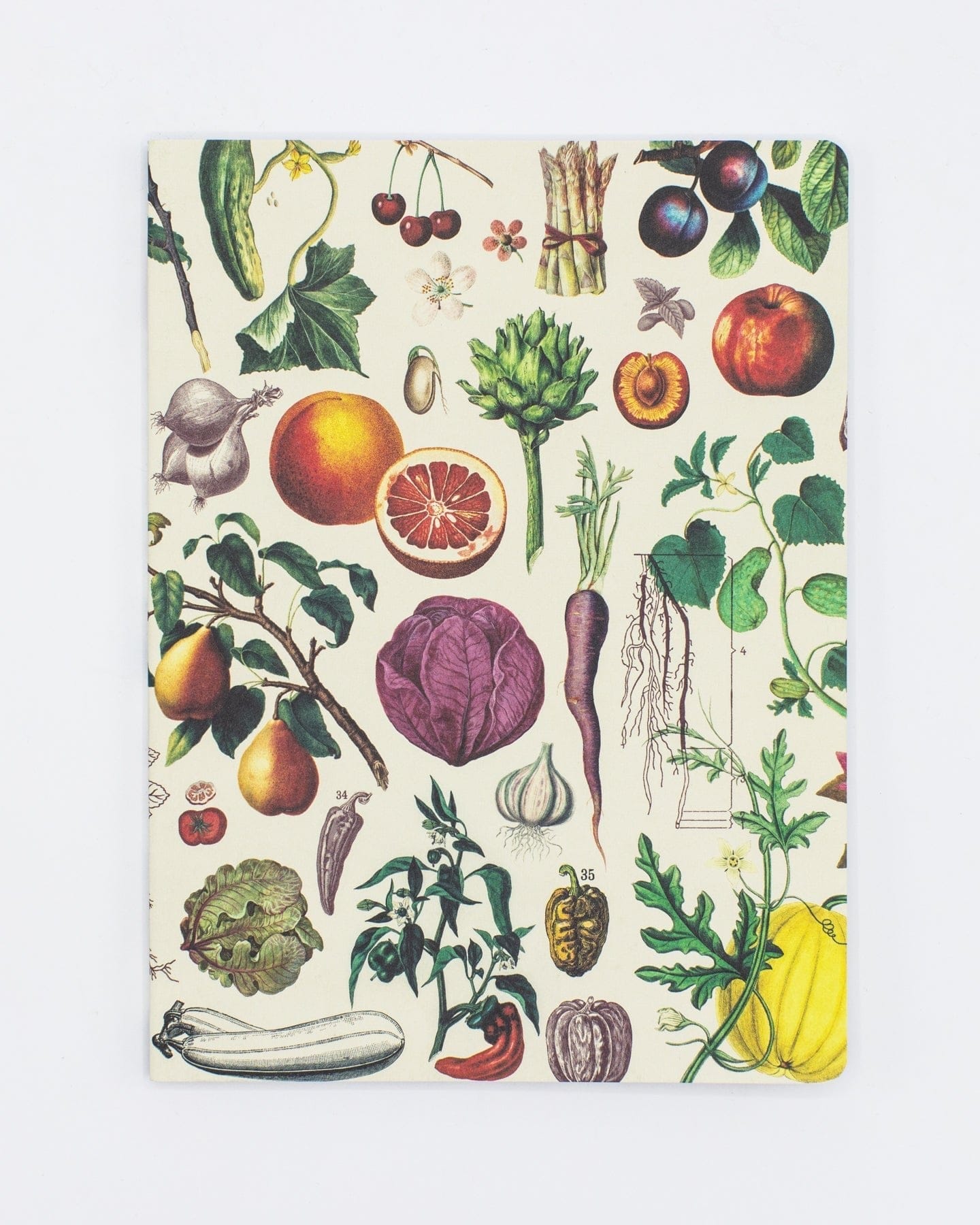 Fruits & Vegetables Softcover - Dot Grid Cognitive Surplus