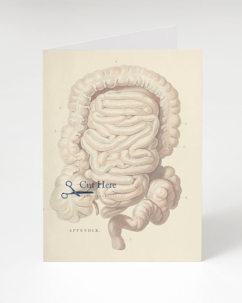 A Appendix Cut Here Card with an illustration of the digestive system made by Cognitive Surplus.