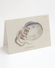 An image of an Octopus: Argonaut Greeting Card by Cognitive Surplus.