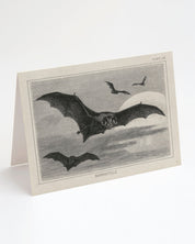 A black and white illustration of Cognitive Surplus' Bat Specimen Greeting Card with bats flying in the sky.